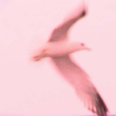 Julia Holter - Maria/2HB Vinyl Record