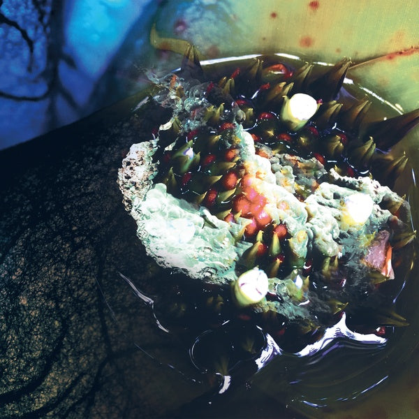 JULIA REIDY - In Real Life Vinyl Record