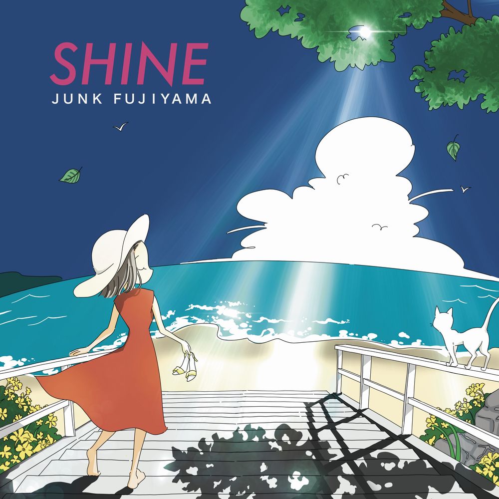 Shine Vinyl Record