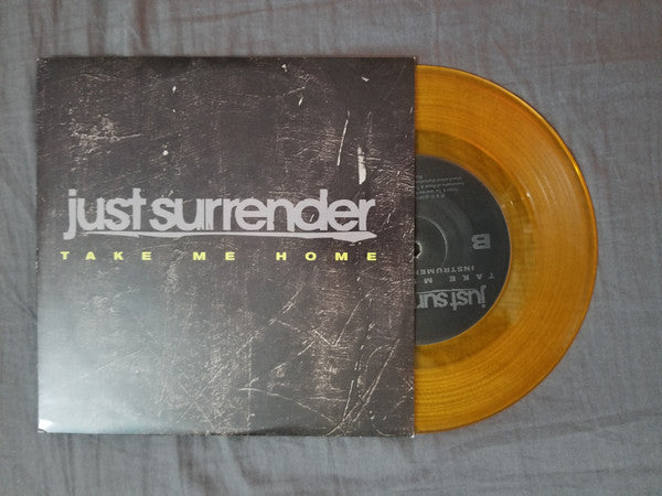 Take Me Home Vinyl Record