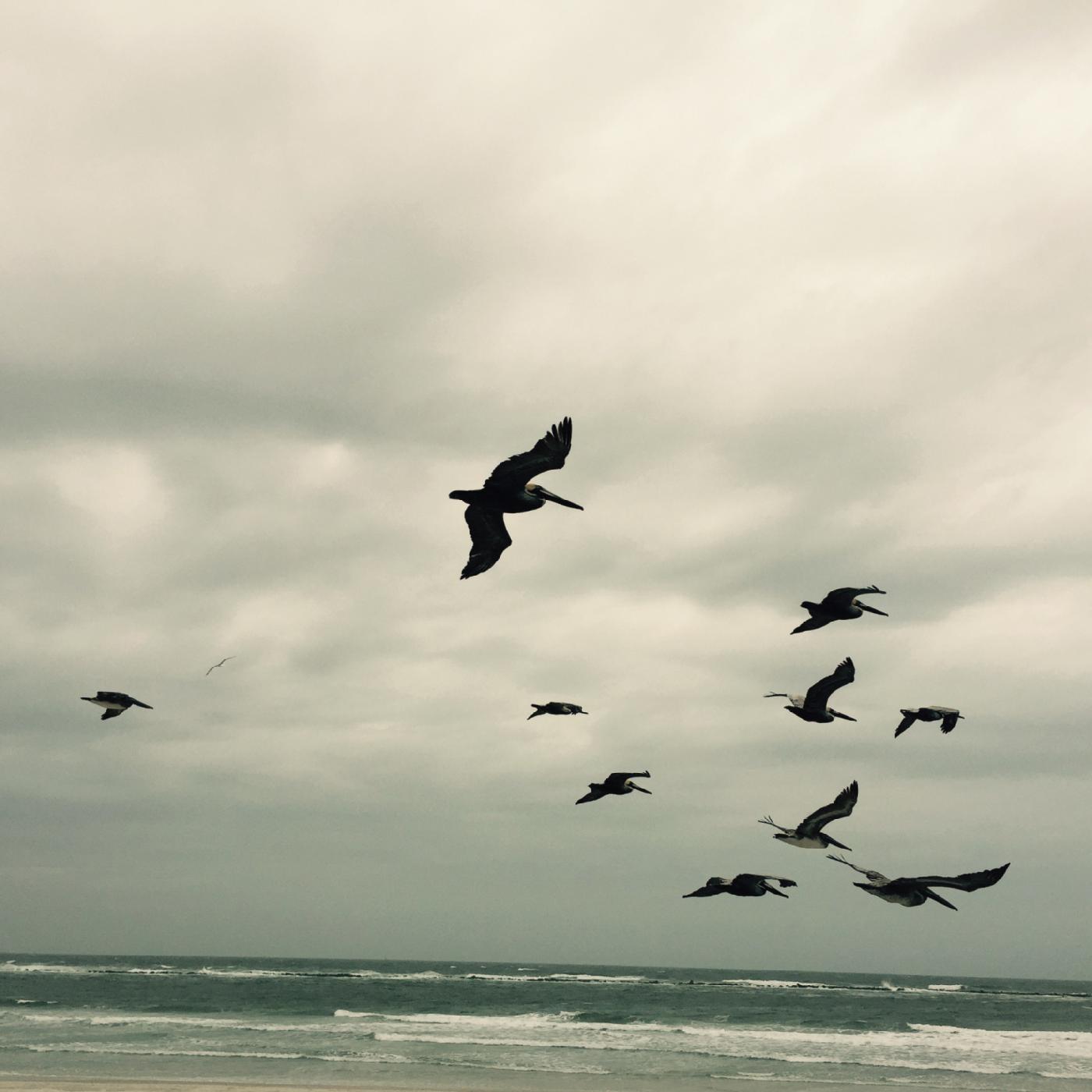 In A Moment - Music For Piano And Strings Music CD