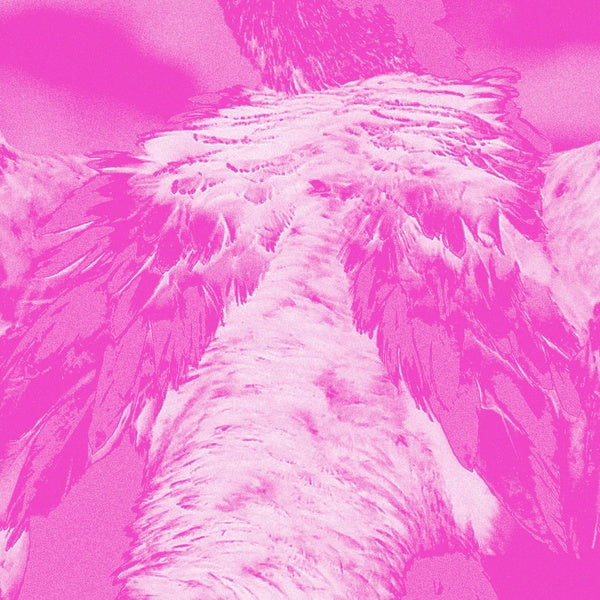 A field guide to phantasmic birds Music CD