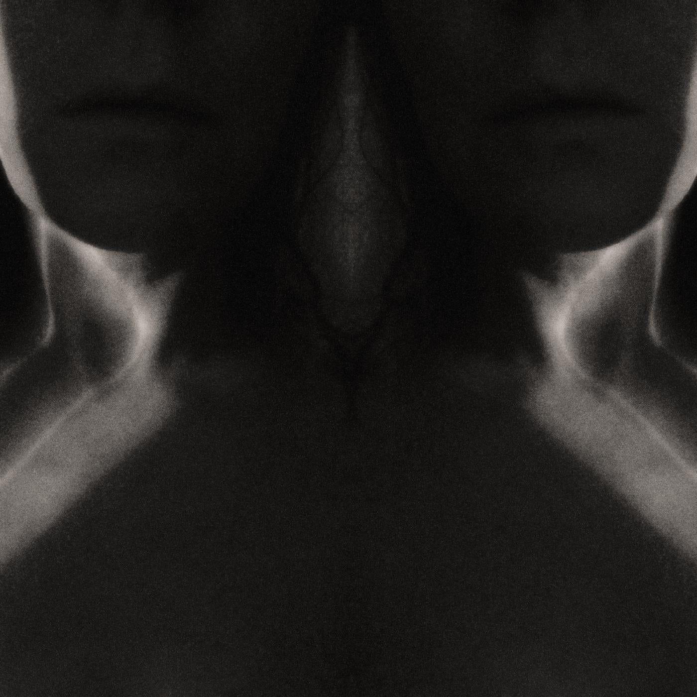 from when i wake the want is Music CD