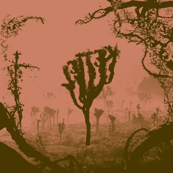 KETTEL - My Dogan Vinyl Record