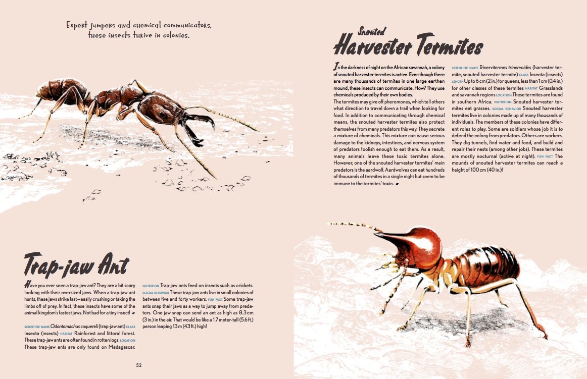 Animal Allstars Book