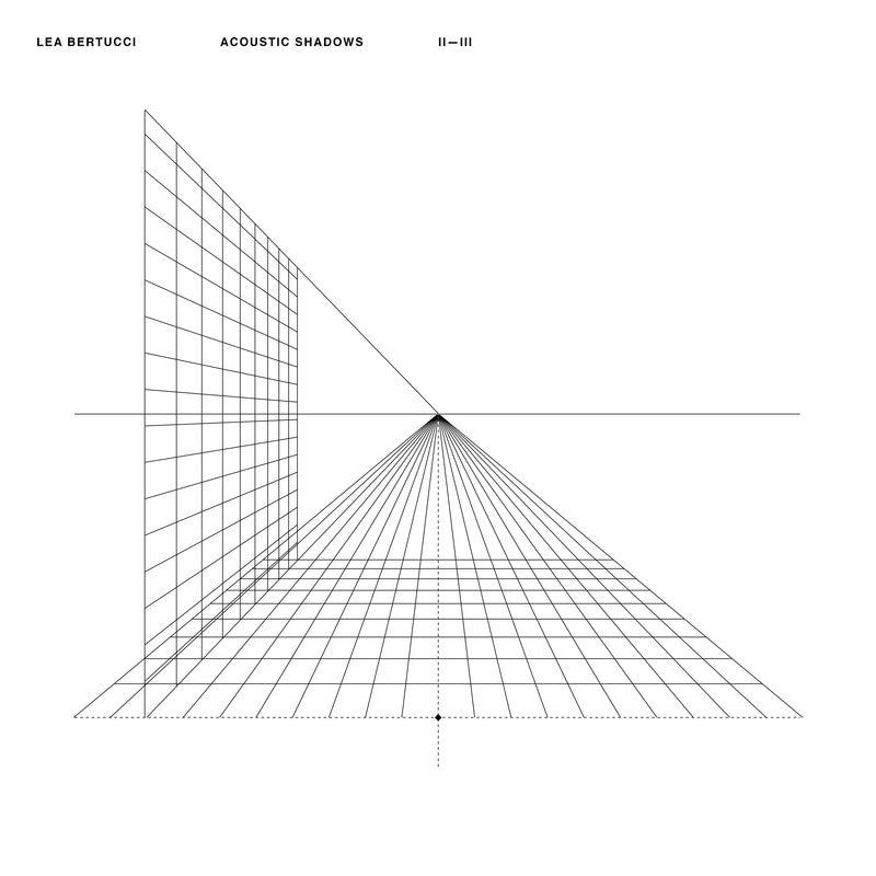 Acoustic Shadows Vinyl Record