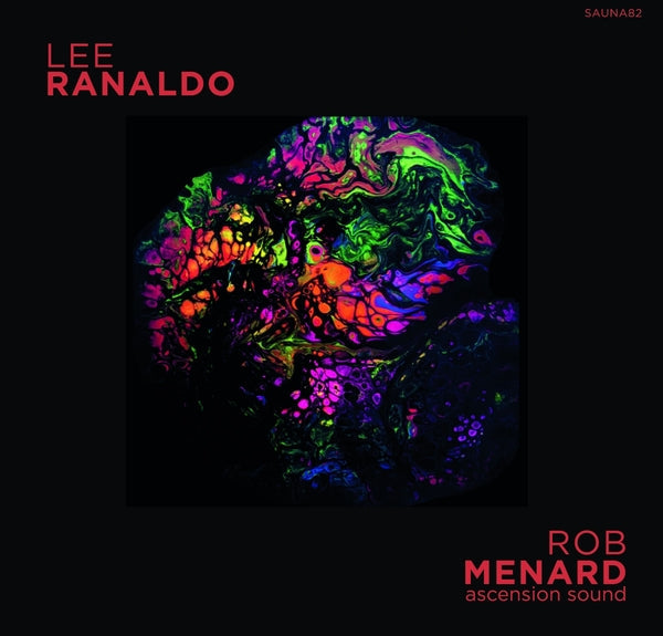 LEE RANALDO/ROB MENARD - Lee Ranaldo/Rob Menard Split Release Cassette Tape