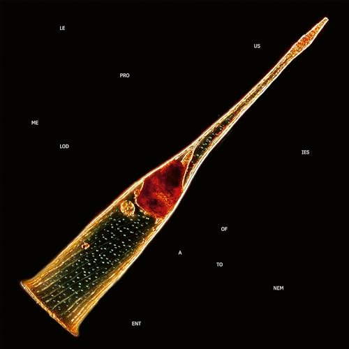 Melodies Of Atonement Vinyl Record