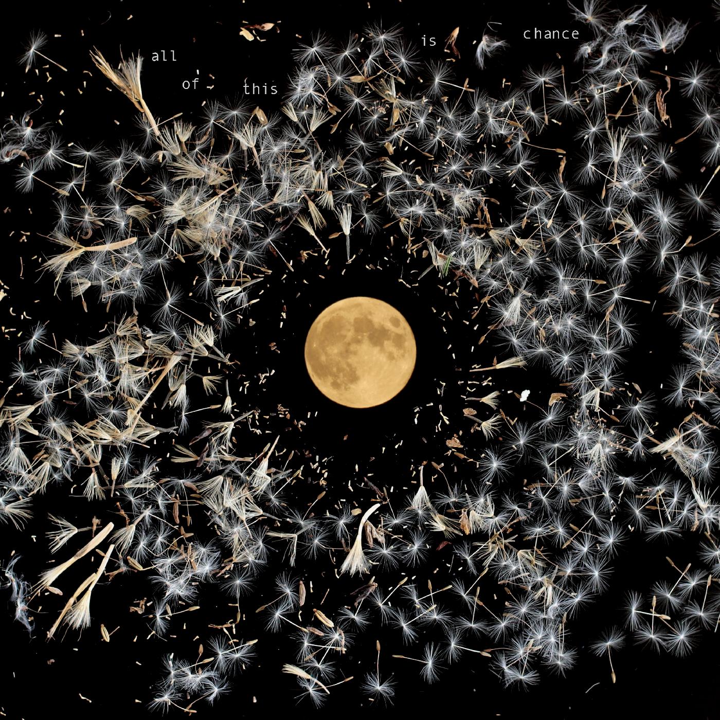 All Of This Is Chance Vinyl Record