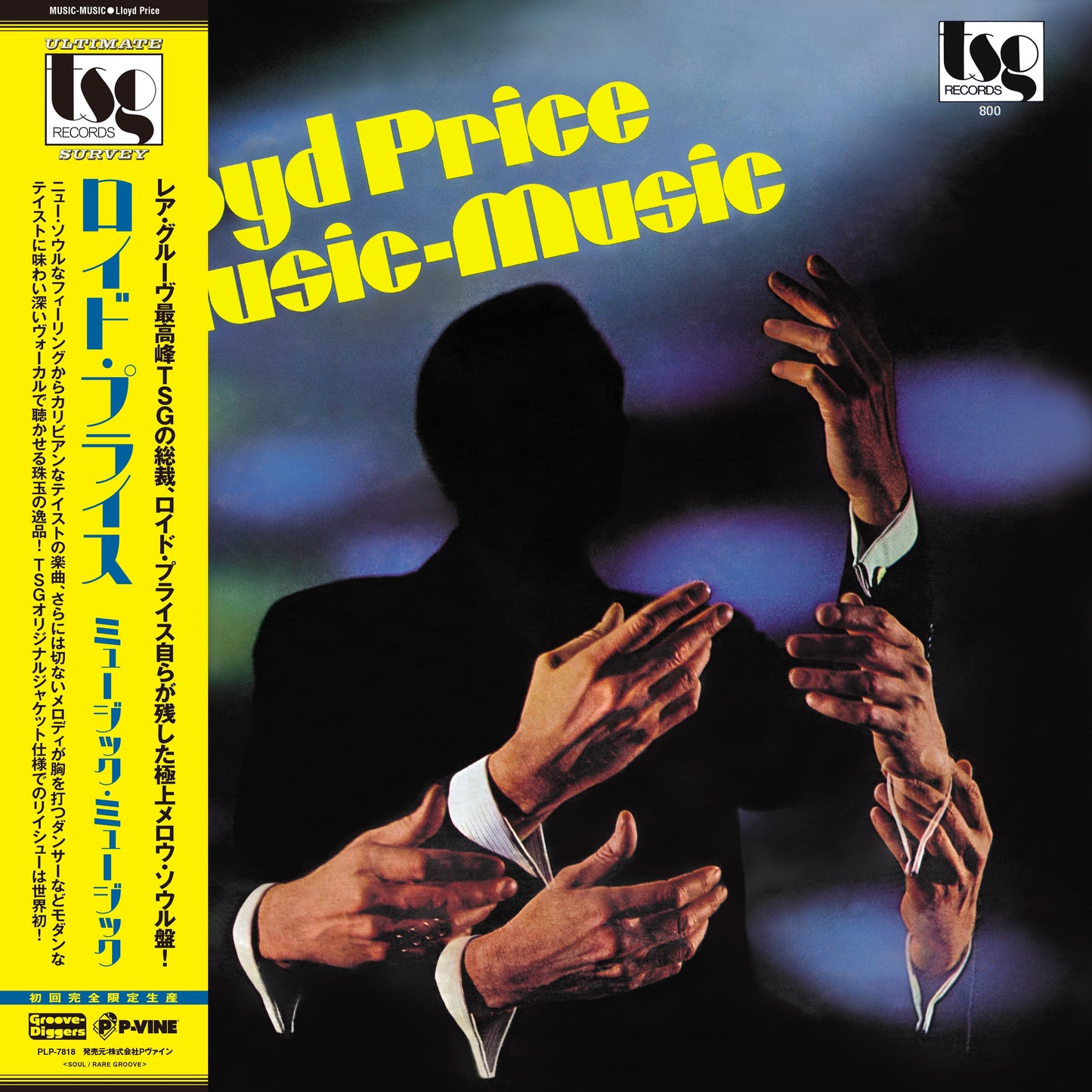 Music - Music Vinyl Record