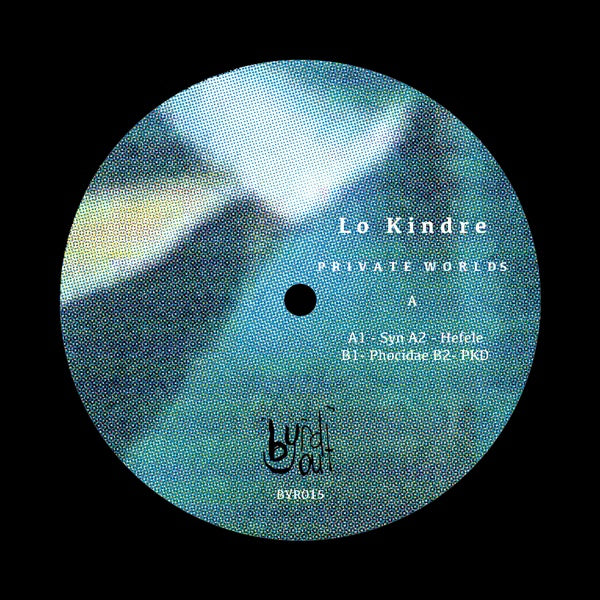 Private Worlds Vinyl Record