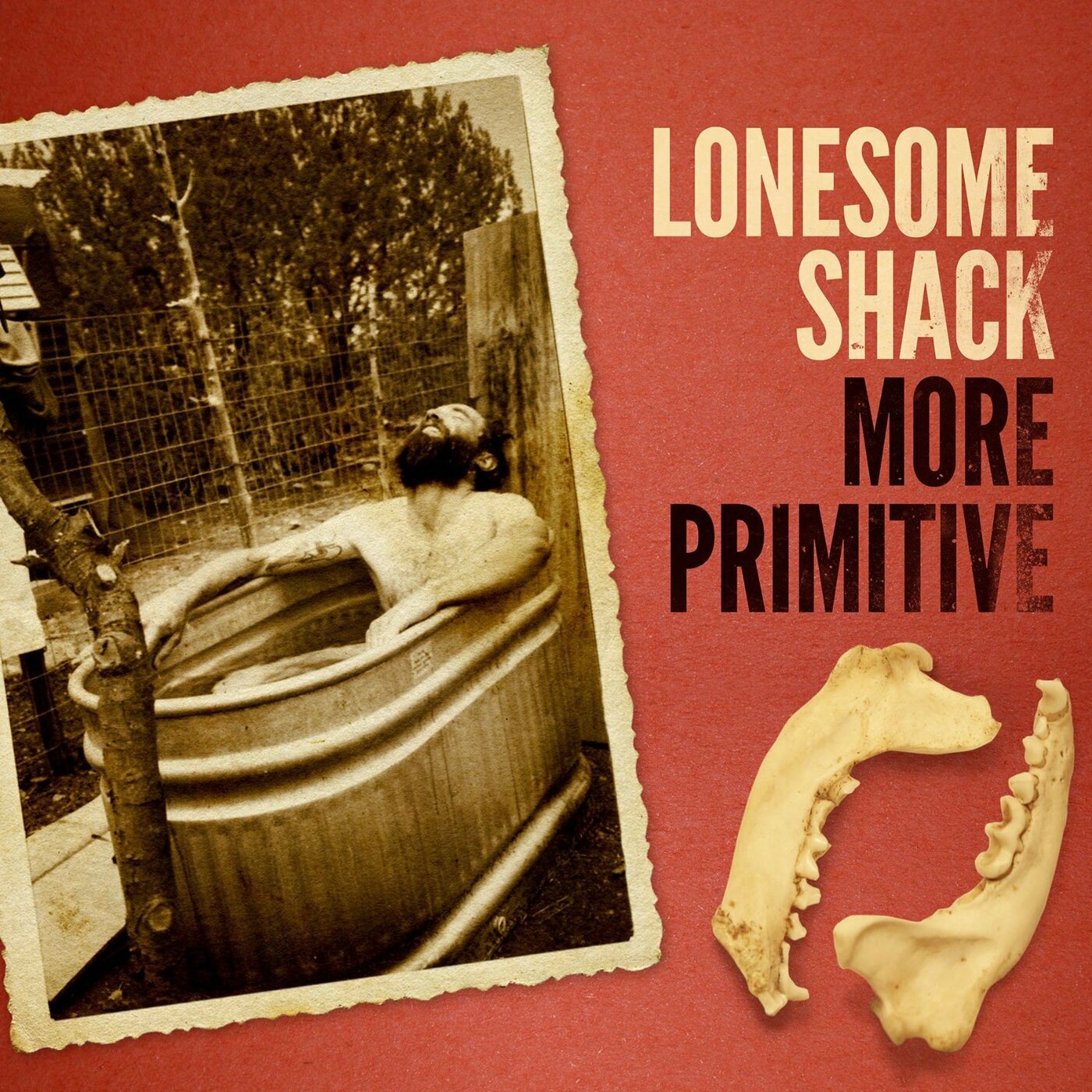 Lonesome Shack - More Primitive Vinyl Record