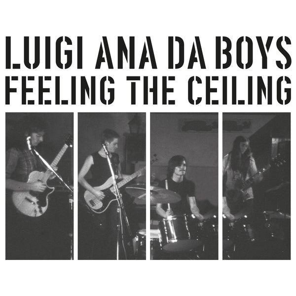 LUIGI ANA DA BOYS - Feeling The Ceiling Vinyl Record