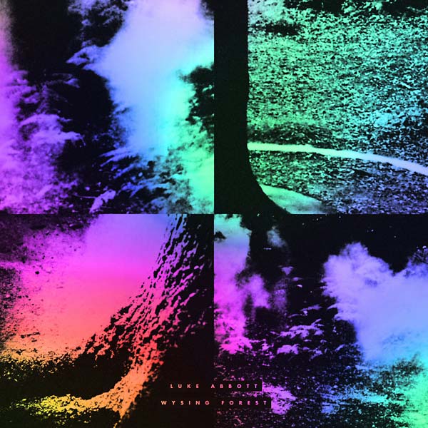 LUKE ABBOTT - Wysing Forest Vinyl Record