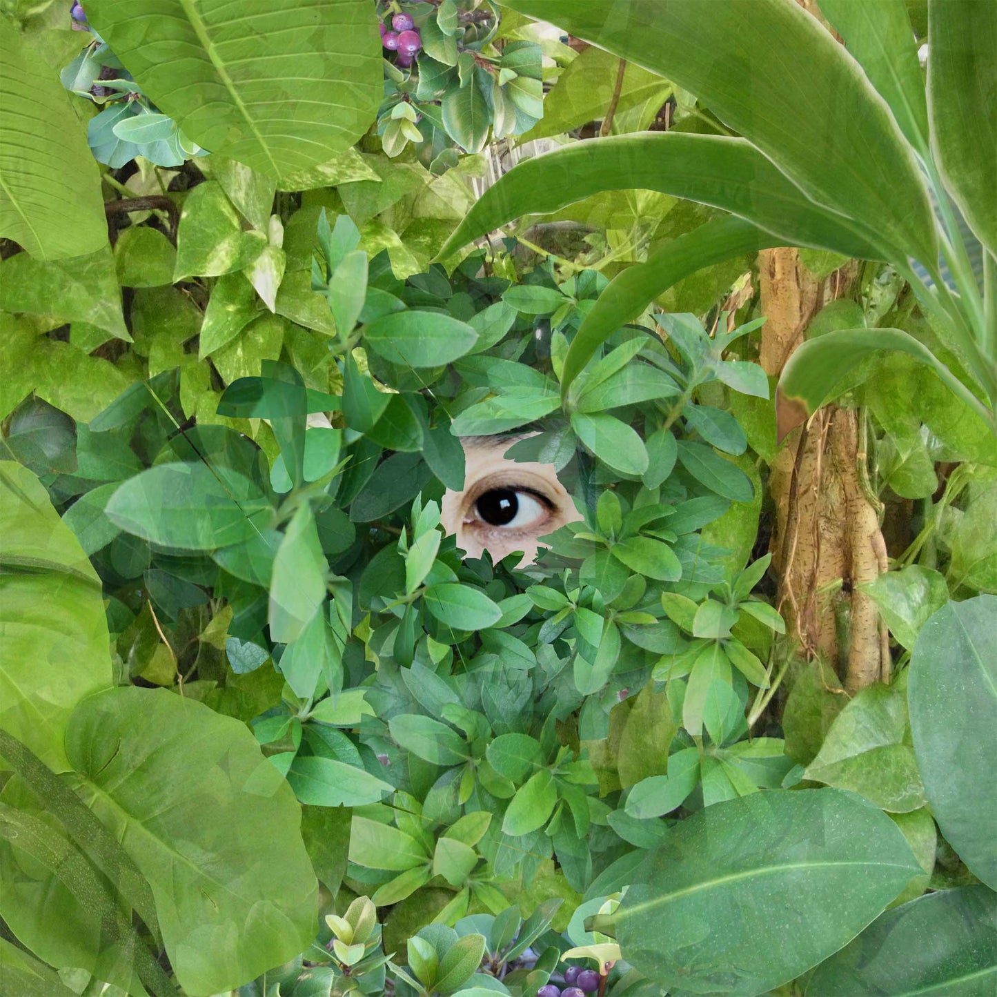 Beginning Vinyl Record