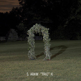 In No Particular Order Vinyl Record