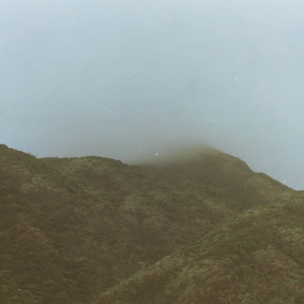 The Glow That Lingers Vinyl Record