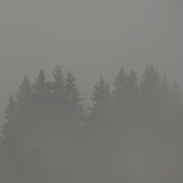MAX LODERBAUER - Donnerwetter Vinyl Record