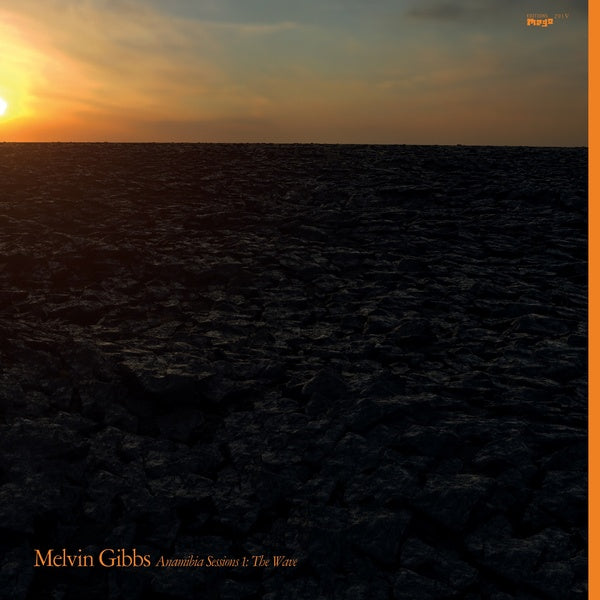 MELVIN GIBBS - Anamibia Sessions 1: The Wave Vinyl Record