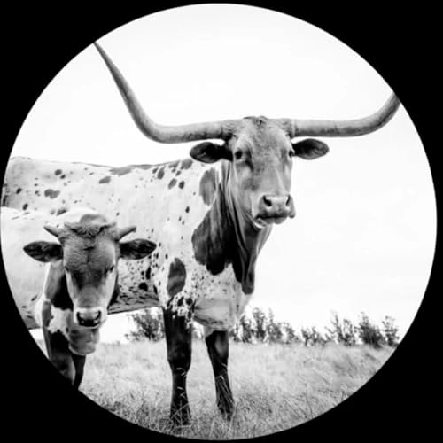 West Texas Blues Vinyl Record