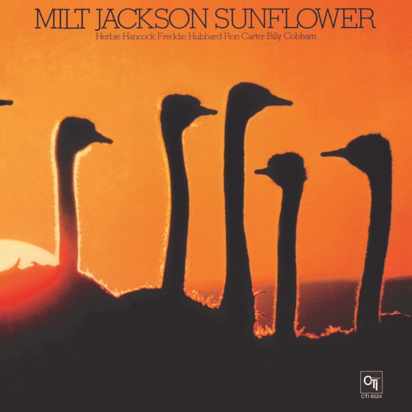 Sunflower Vinyl Record