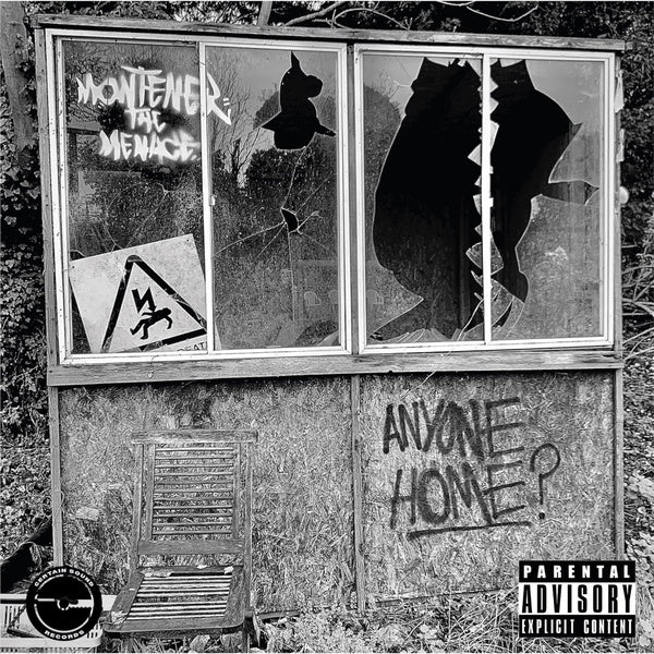 Anyone Home? Vinyl Record