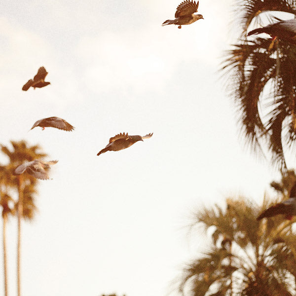 MOTOHIKO HAMASE - Intaglio Vinyl Record