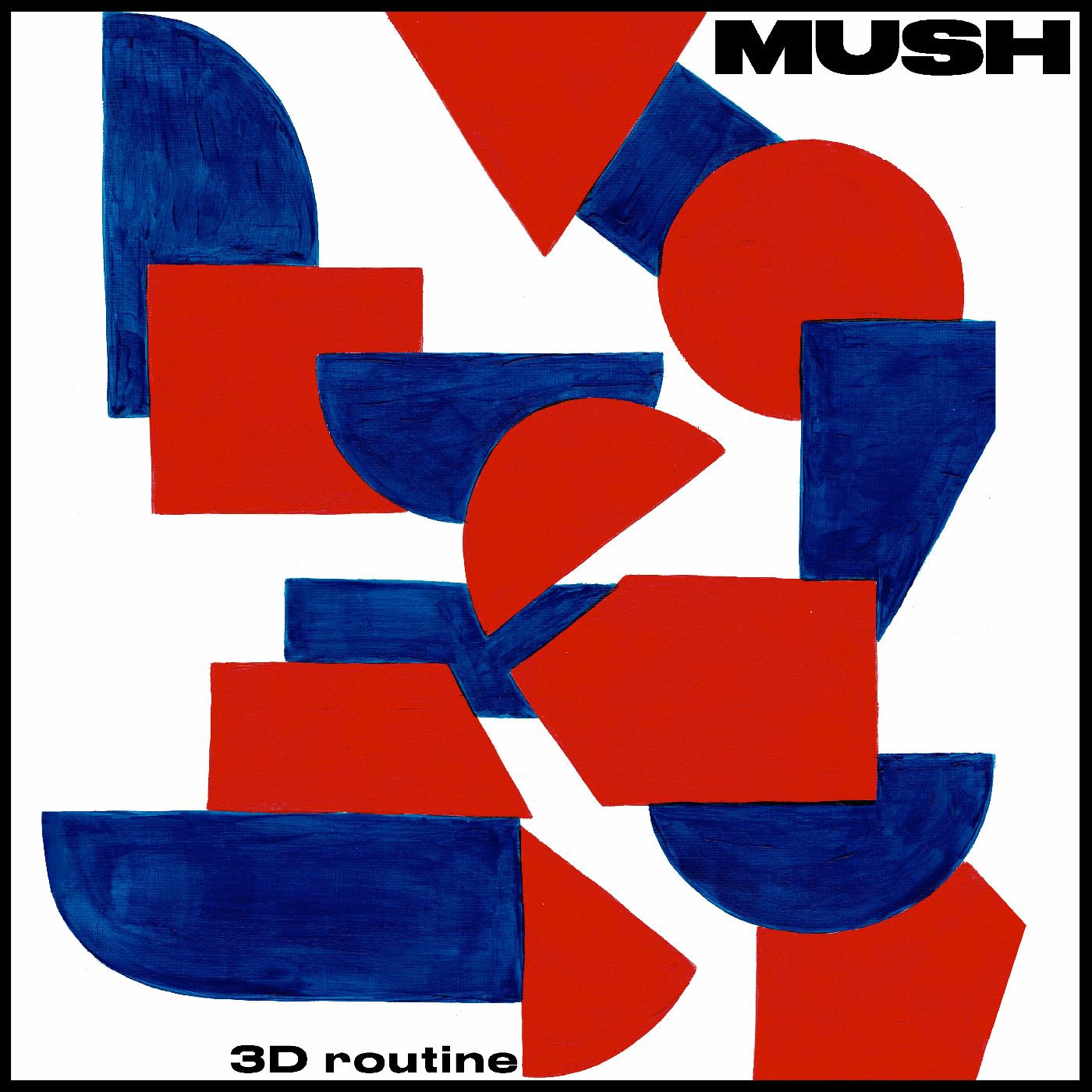 Mush - 3D Routine Vinyl Record