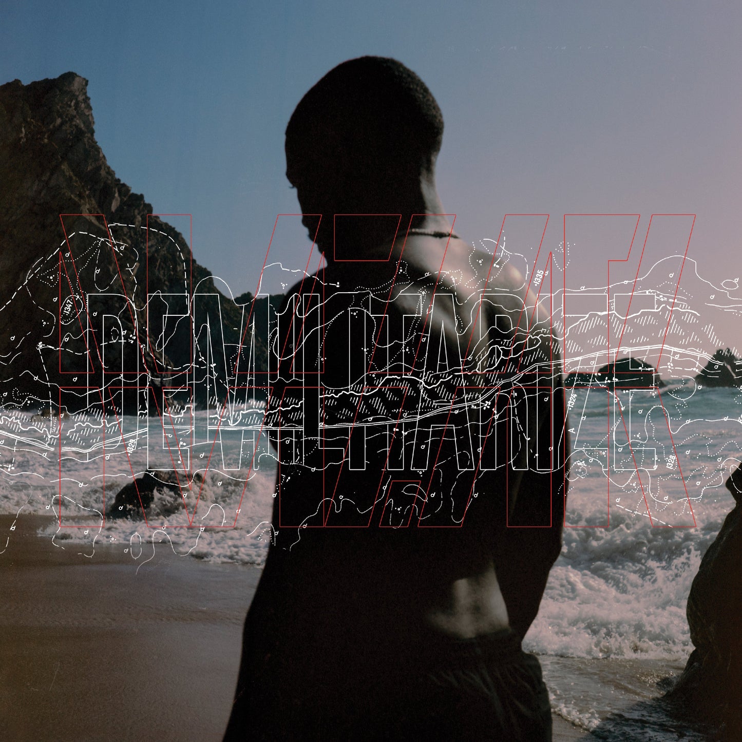 Demilitarize Vinyl Record