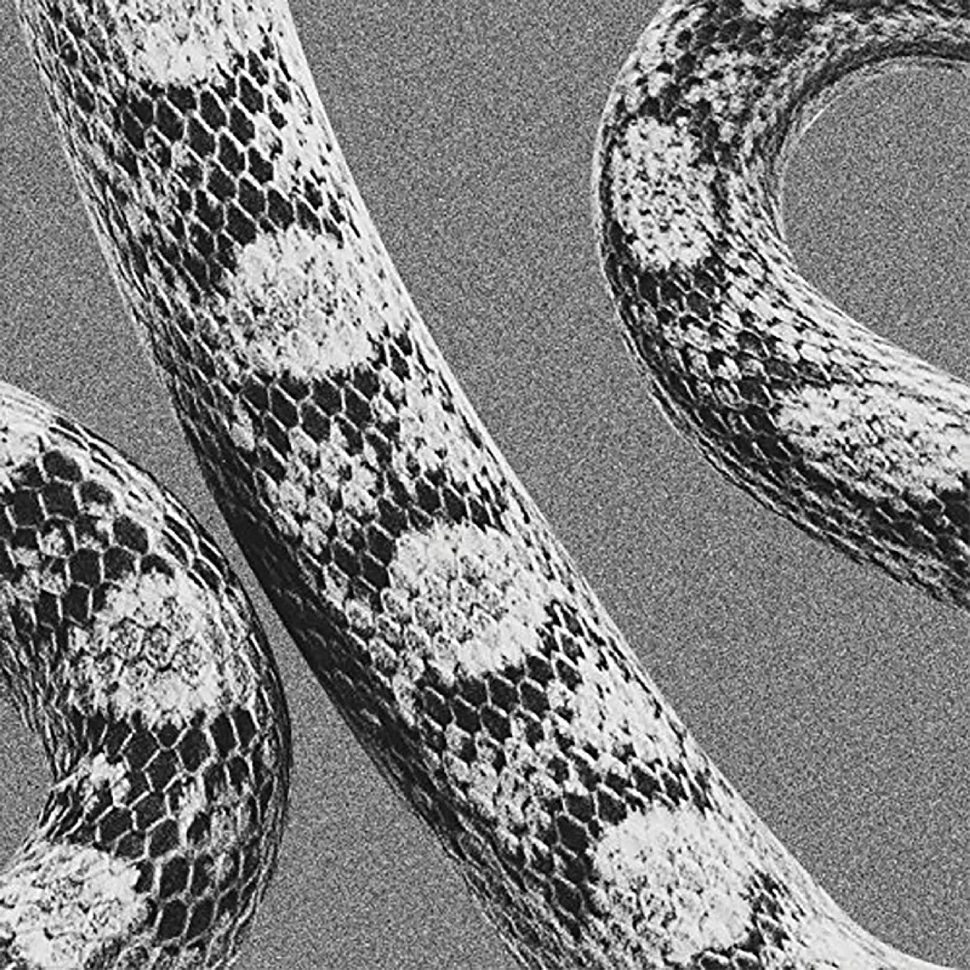 God Don'T Talk To Strangers/Lady Of The Ocean Vinyl Record