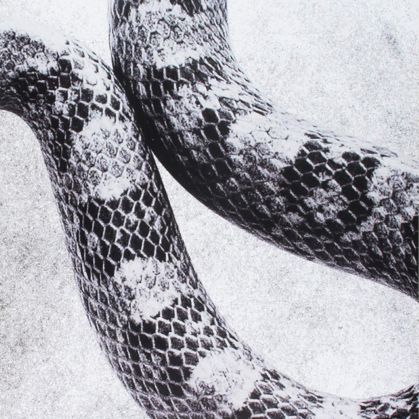 I'M Alright/Fine (7" VINYL) Vinyl Record