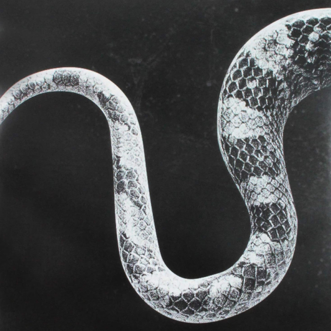 Sentimental Kids/Last Of The Leavers (7" VINYL) Vinyl Record