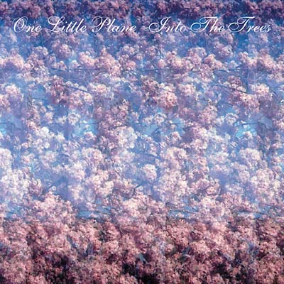 Into The Trees Music CD