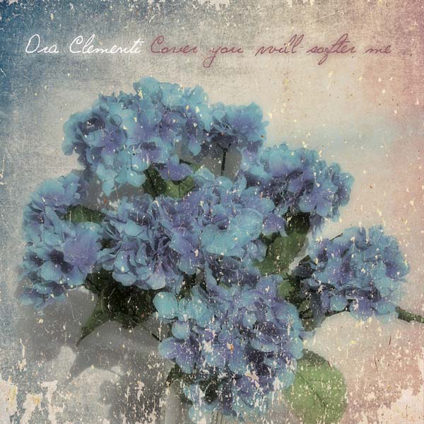 Cover you will softer me Vinyl Record