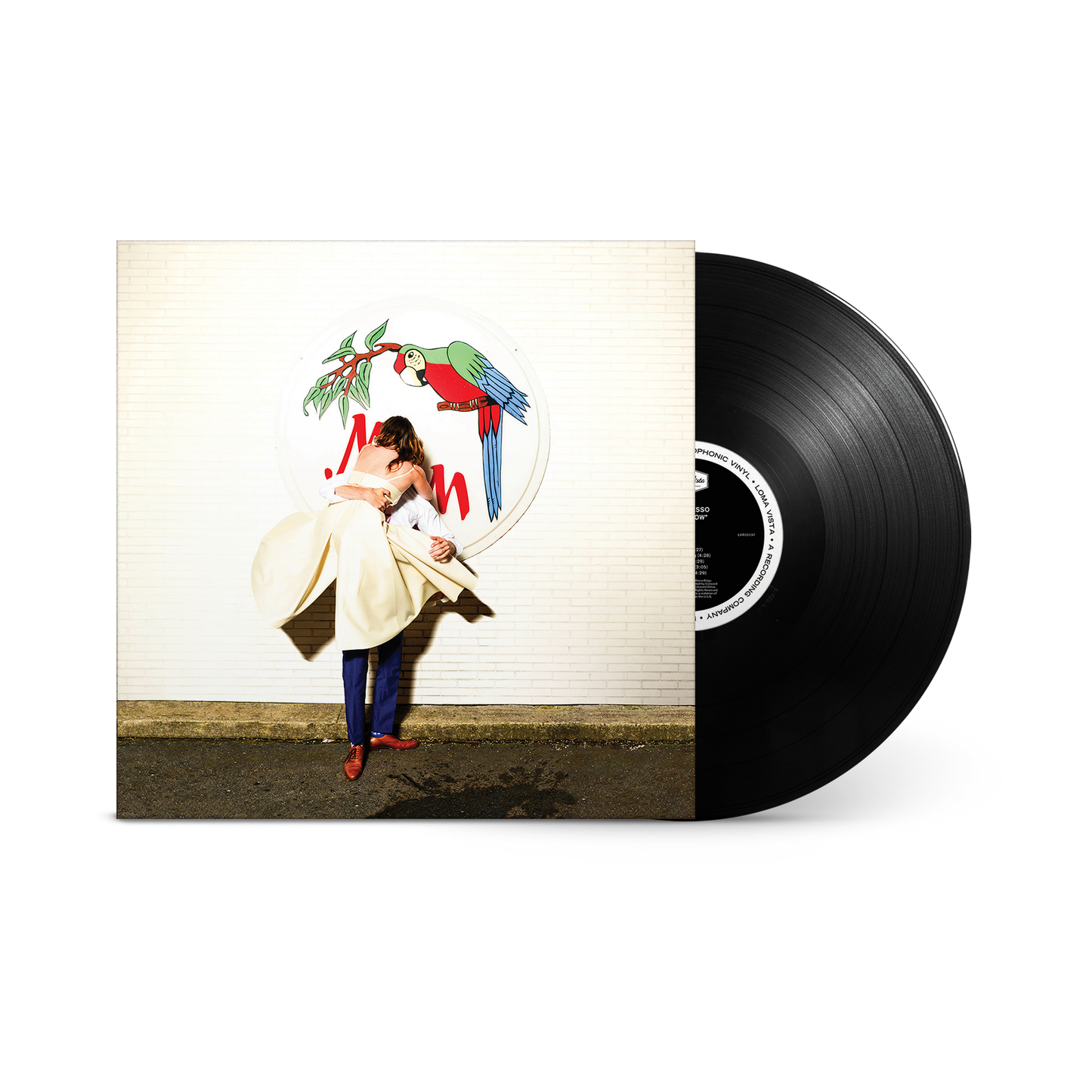 Sylvan Esso What Now Black LP Vinyl Record