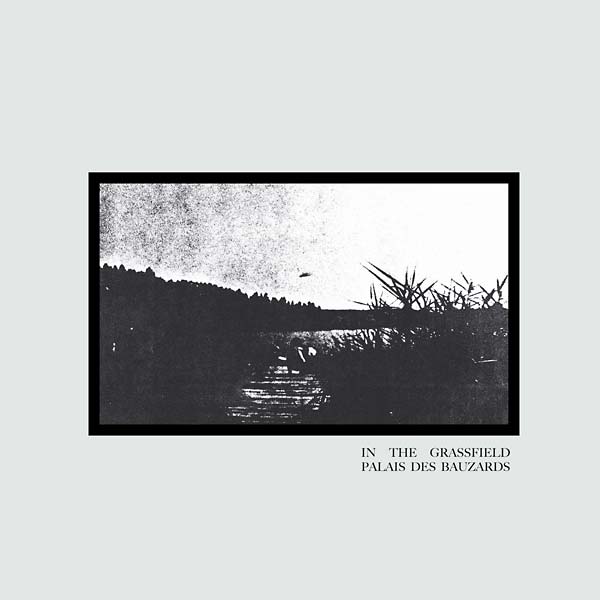 PALAIS DES BAUZARDS - In the Grassfield Vinyl Record