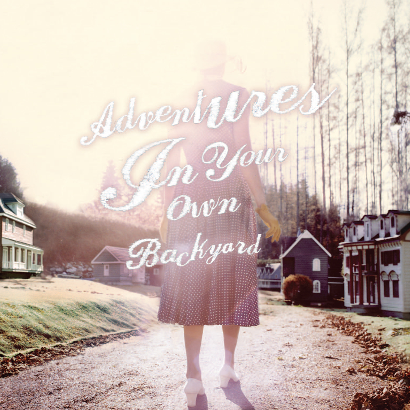 Adventures In Your Own Backyard Vinyl Record