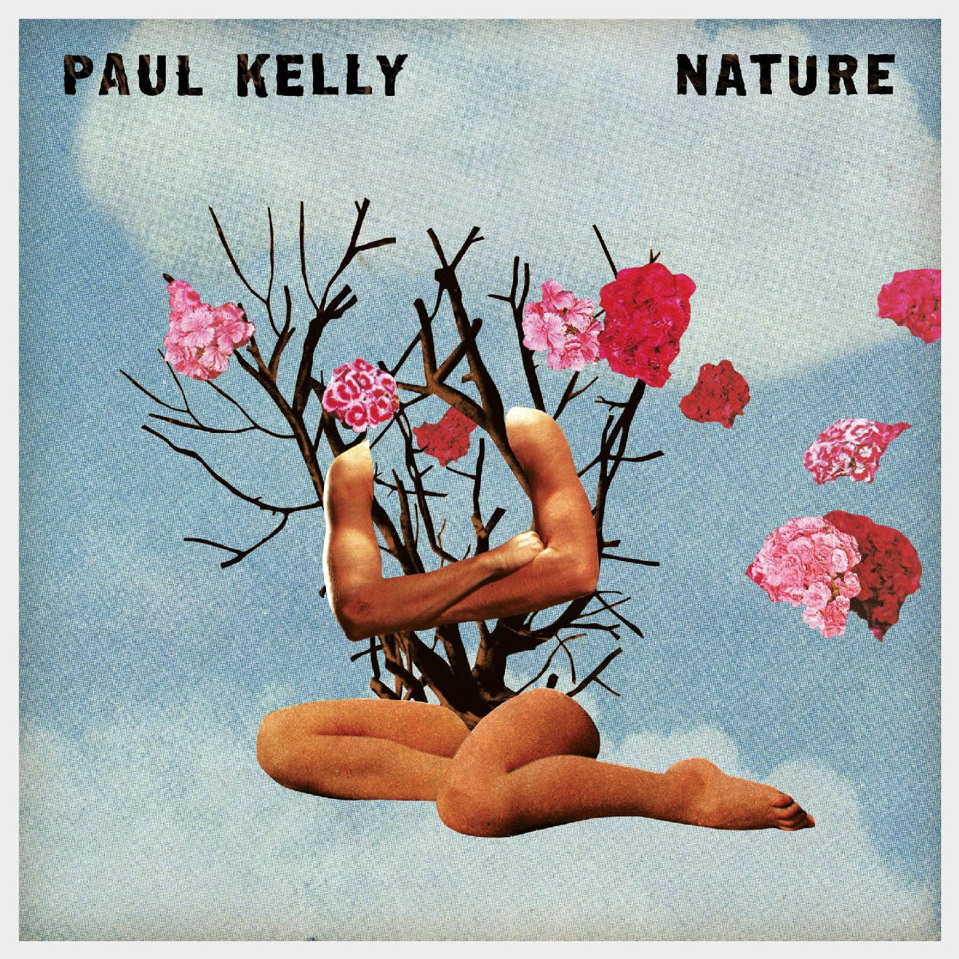 Nature Vinyl Record