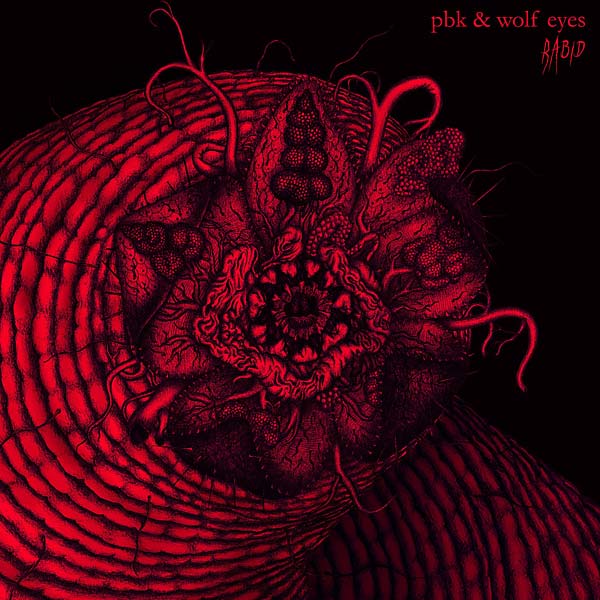 Rabid Vinyl Record