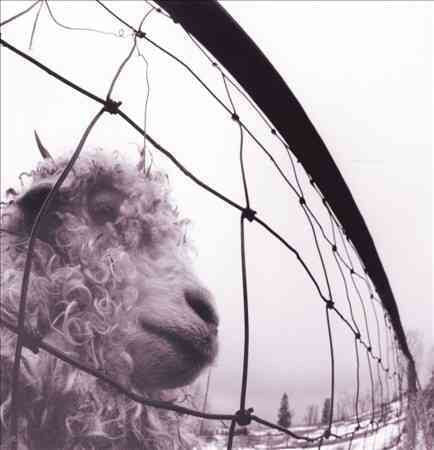 Vs. (180 GRAM VINYL) Vinyl Record