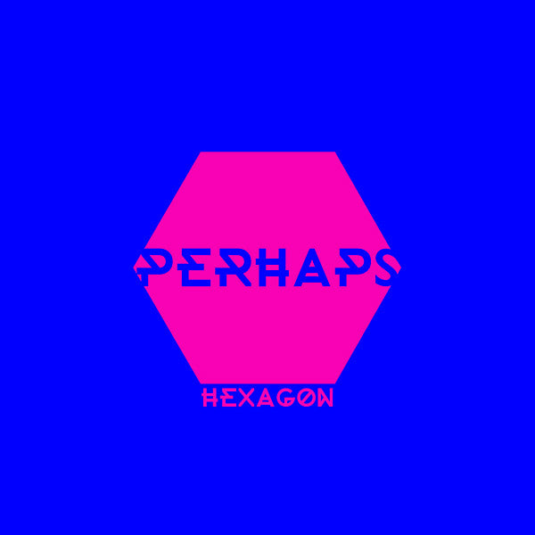 PERHAPS - Hexagon Vinyl Record