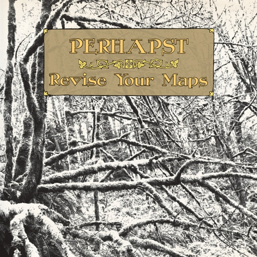 Perhapst - Revise Your Maps Vinyl Record