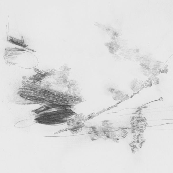 The Air Outside Feels Crazy Right Now Vinyl Record