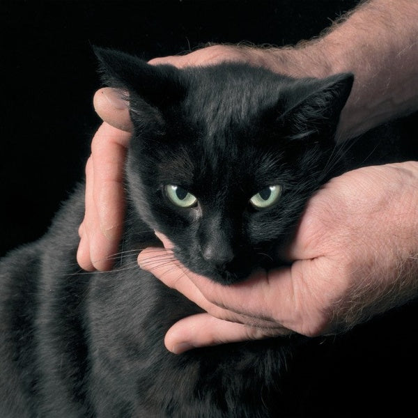 White Death, Black Heart Vinyl Record