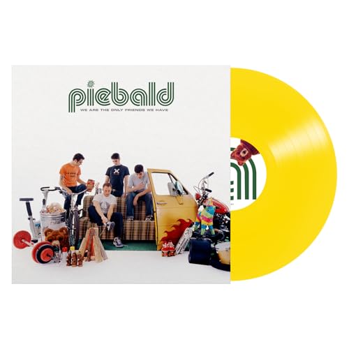 We Are The Only Friends We Have Vinyl Record