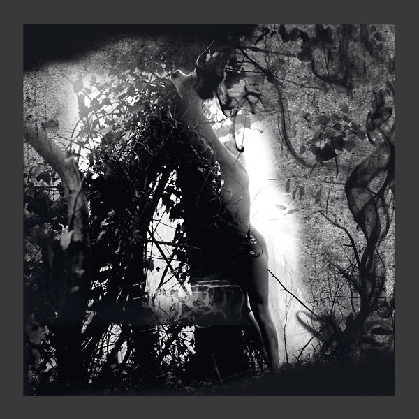 PISETZKY - Tears Of A Rough Machine Vinyl Record