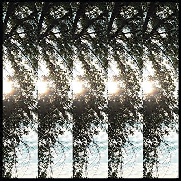 Dialectic Of Ignorance Vinyl Record