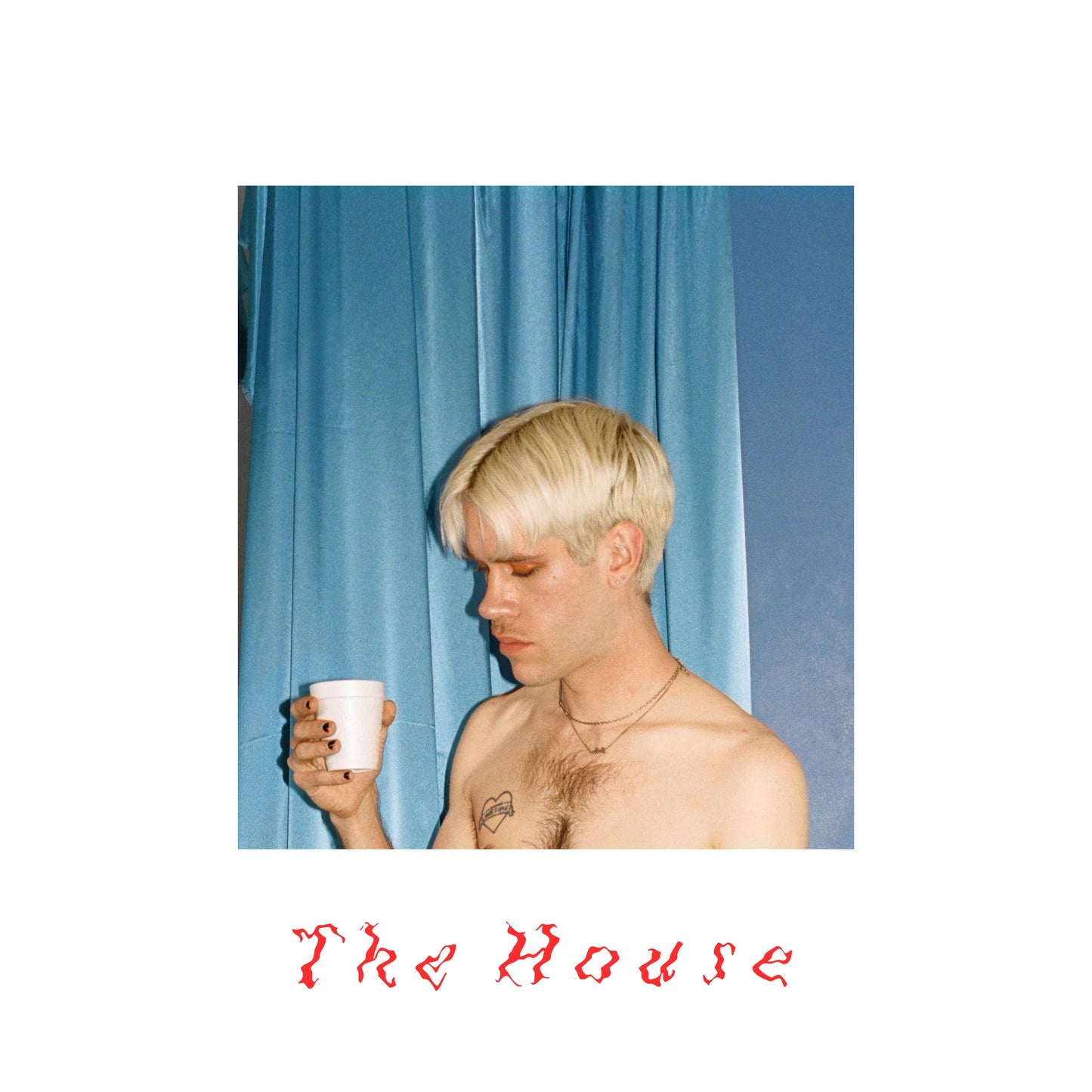 The House Vinyl Record