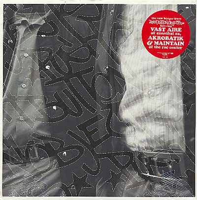 PUSH BUTTON OBJECTS - Fly (You Ain't) Vinyl Record