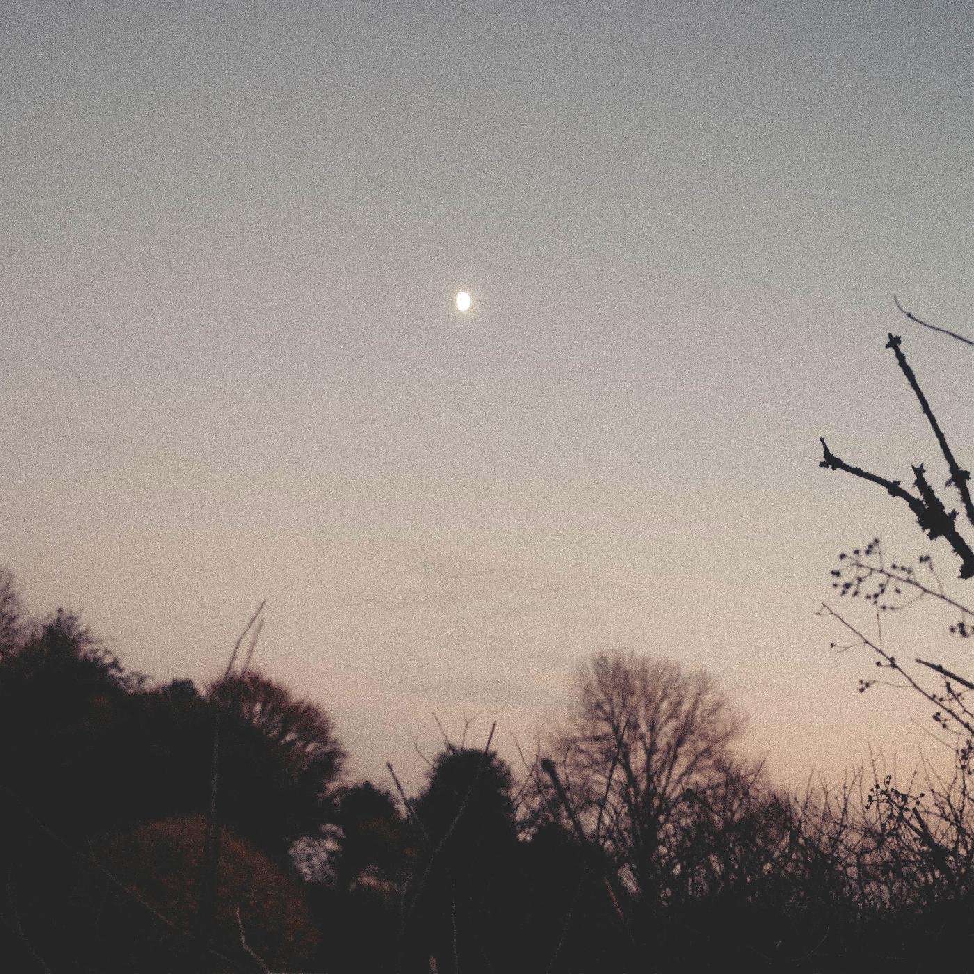 Rachel Sermanni - Dreamer Awake Vinyl Record